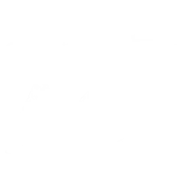 CrossFit Ace