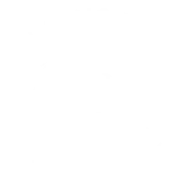 Lionsoul Performance